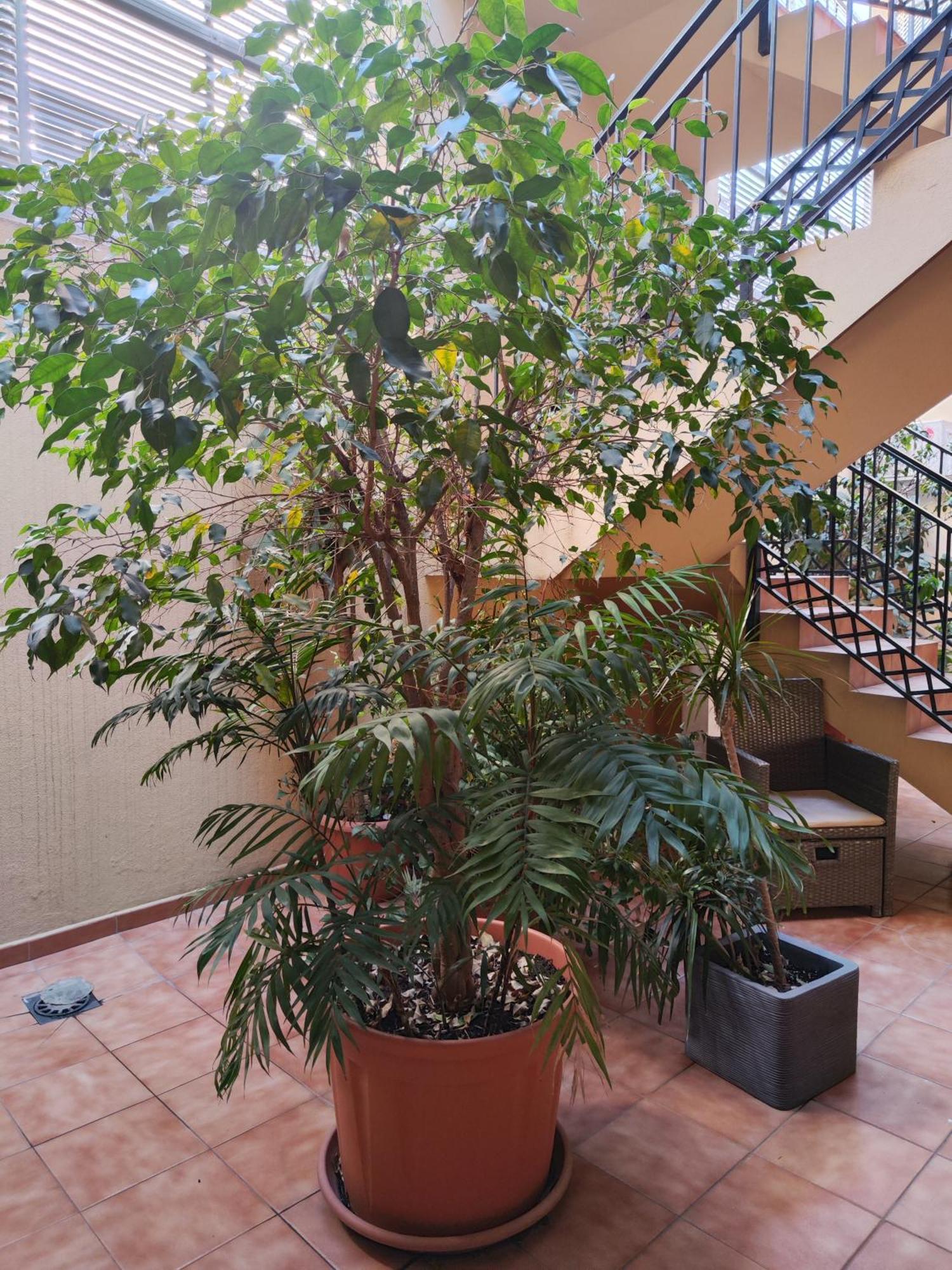 Апартаменти Malaga Experience Екстер'єр фото